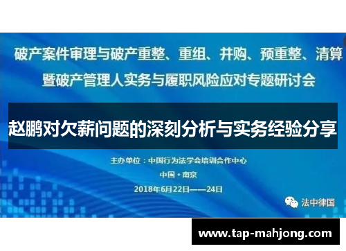 赵鹏对欠薪问题的深刻分析与实务经验分享